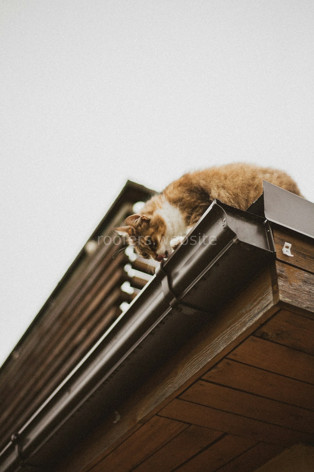 Chimney Sweeping